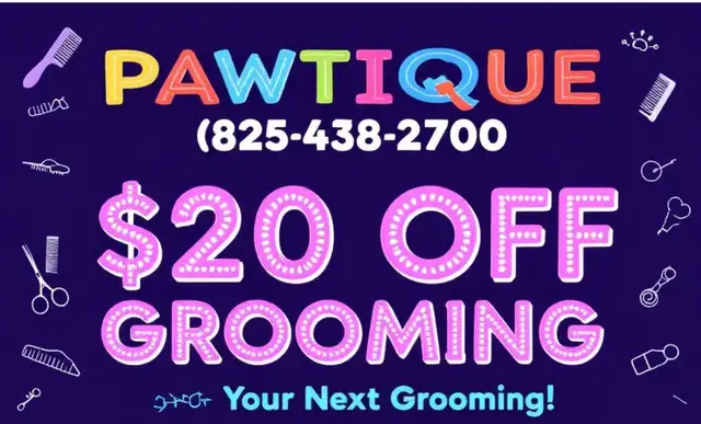 Same Day Dog Grooming