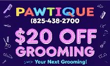 Same Day Dog Grooming