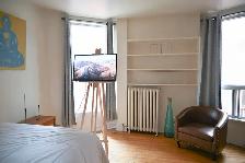 Parkdale 1-Bedroom Sublet — Nov 1 - Jan 1 - Photo 2