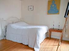 Parkdale 1-Bedroom Sublet — Nov 1 - Jan 1 - Photo 4