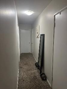 Looking For Roomates - Photo 3