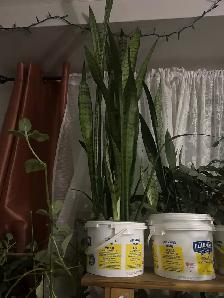 Looking For Roomates - Photo 4