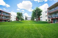 Raleigh Square Apartments - 2 Bedroom Apartment for Rent - Photo 9