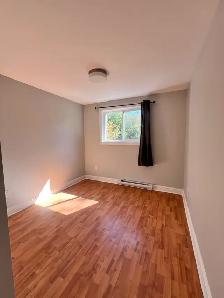 FALL RIVER - 2 UNITS AVAILABLE NOW! SUNNY STUDIO AND 1 BEDROOM - Photo 4