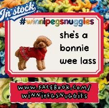 Winnipeg Snuggies - Pet Outfits - Photo 4