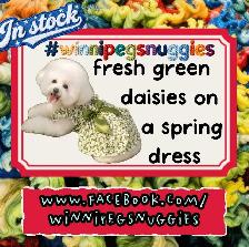 Winnipeg Snuggies - Pet Outfits - Photo 7