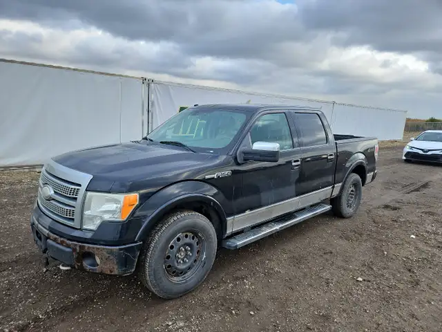 2009 Ford F-150