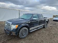 2009 Ford F-150