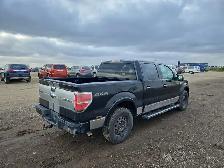 2009 Ford F-150 - Photo 3