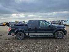 2009 Ford F-150 - Photo 8