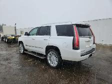 2016 Cadillac Escalade - Photo 3