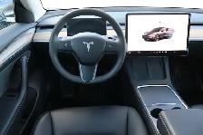 2023 TESLA MODEL 3 - Photo 10