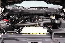 2026 Ford F-150 XLT - Photo 6