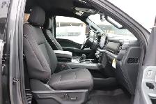 2026 Ford F-150 XLT - Photo 7