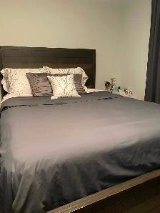 Large bright room for rent near Stockyard mall - Photo 6