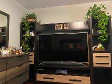 Large bright room for rent near Stockyard mall - Photo 11