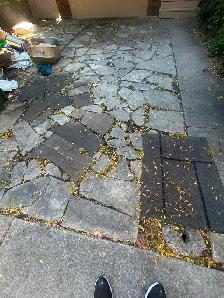 Landscaper Wanted - 10am Start - Dufferin & Dundas - Photo 2