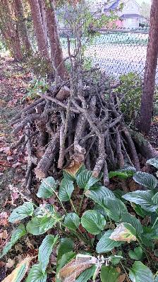 Free Hardwood for firewood. - Photo 2