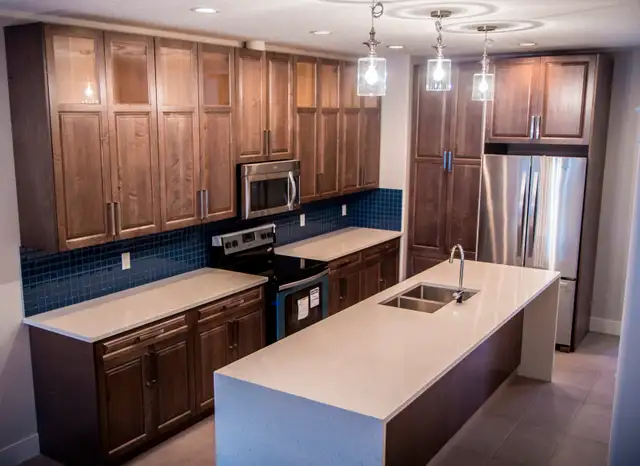 High End 3 1 Bdrm House   Garage in Allandale (By UofA)