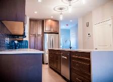 High End 3 1 Bdrm House   Garage in Allandale (By UofA) - Photo 2