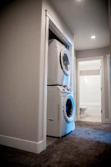 High End 3 1 Bdrm House   Garage in Allandale (By UofA) - Photo 7