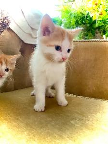 CUTENESS & CUDDLES - Photo 4