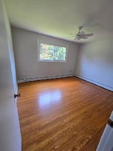Spacious Classic 2 BR Apt - Haist Street Fonthill - Photo 4