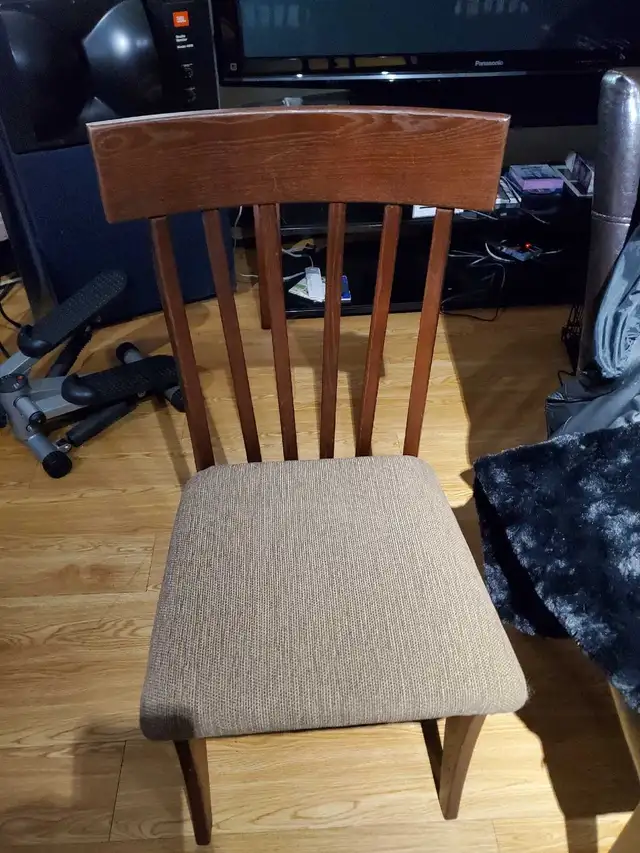 two beautiful and original dining room chairs