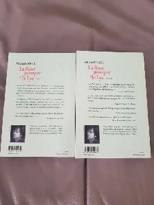 2ROMANS NEUFS DE MICHEL FABER, LA ROSE POURPRE:$10.00 POUR LES 2 - Photo 2