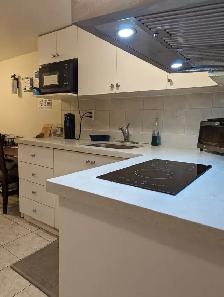 Bright Furnished Room with Parking @York University Village - Photo 8