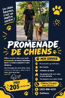 premenade de chien