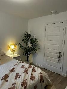 logement 4 1/2 demi sous-sol - Photo 6