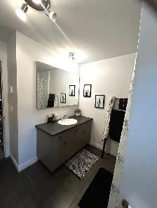 logement 4 1/2 demi sous-sol - Photo 8