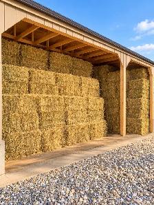 square hay bales for sale