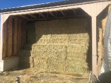 square hay bales for sale - Photo 4