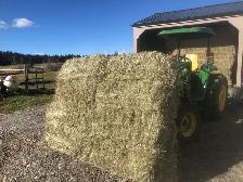 square hay bales for sale - Photo 5
