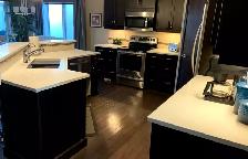 Quartz Countertop for sale - Photo 4