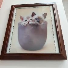 BEAU CADRE VITRÉ 10'x12'MONTRANT 2 CHATS AUX YEUX BLEUS: $15.00