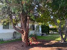 HOUSE FOR RENT PENTICTON - Photo 14