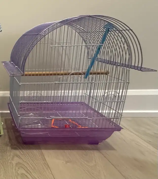 Bird Cage