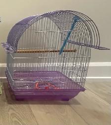 Bird Cage