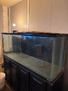 Free fish tanks