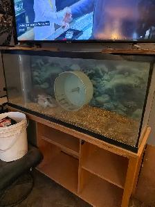 Free fish tanks - Photo 2