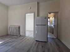 ($1250 fully renovated 1bedroomt on 1st floor apt.) - Photo 4