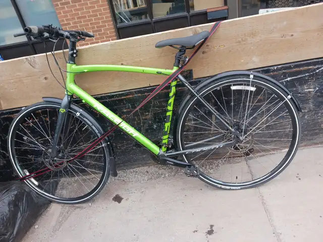 Raleigh Green & Black Hybrid Bicycle – $225 OBO