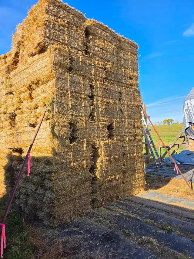 SMALL SQUARE WHEAT STRAW