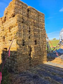 SMALL SQUARE WHEAT STRAW