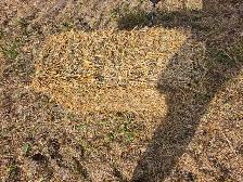 SMALL SQUARE WHEAT STRAW - Photo 3