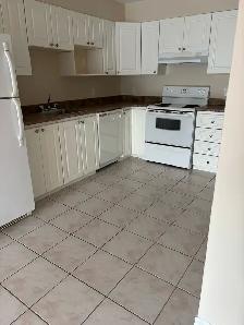 Spacious one bedroom plus den for rent Truro, November 1