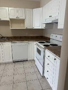 Spacious one bedroom plus den for rent Truro, November 1 - Photo 2